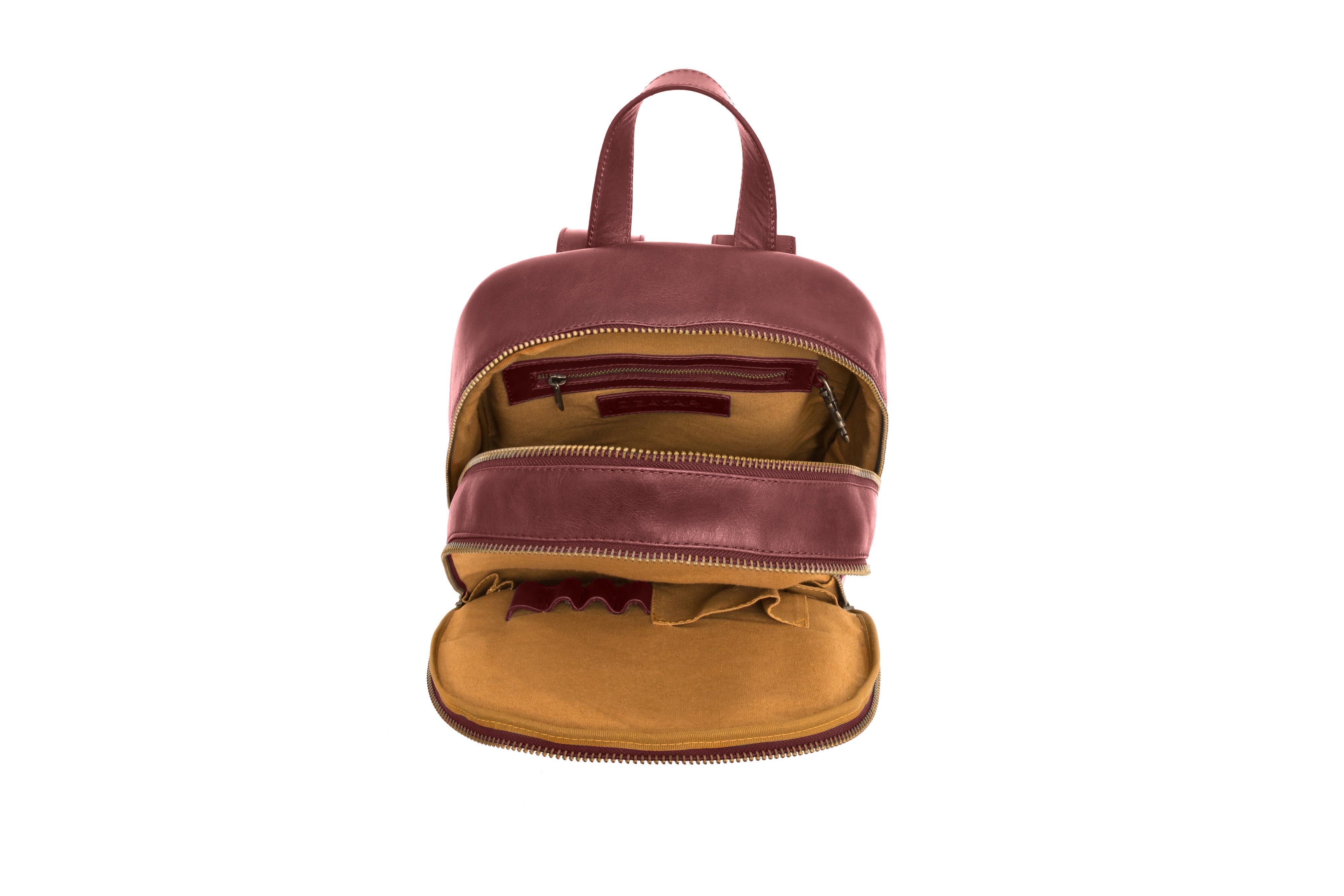 Phoenix Backpack - Quavaro