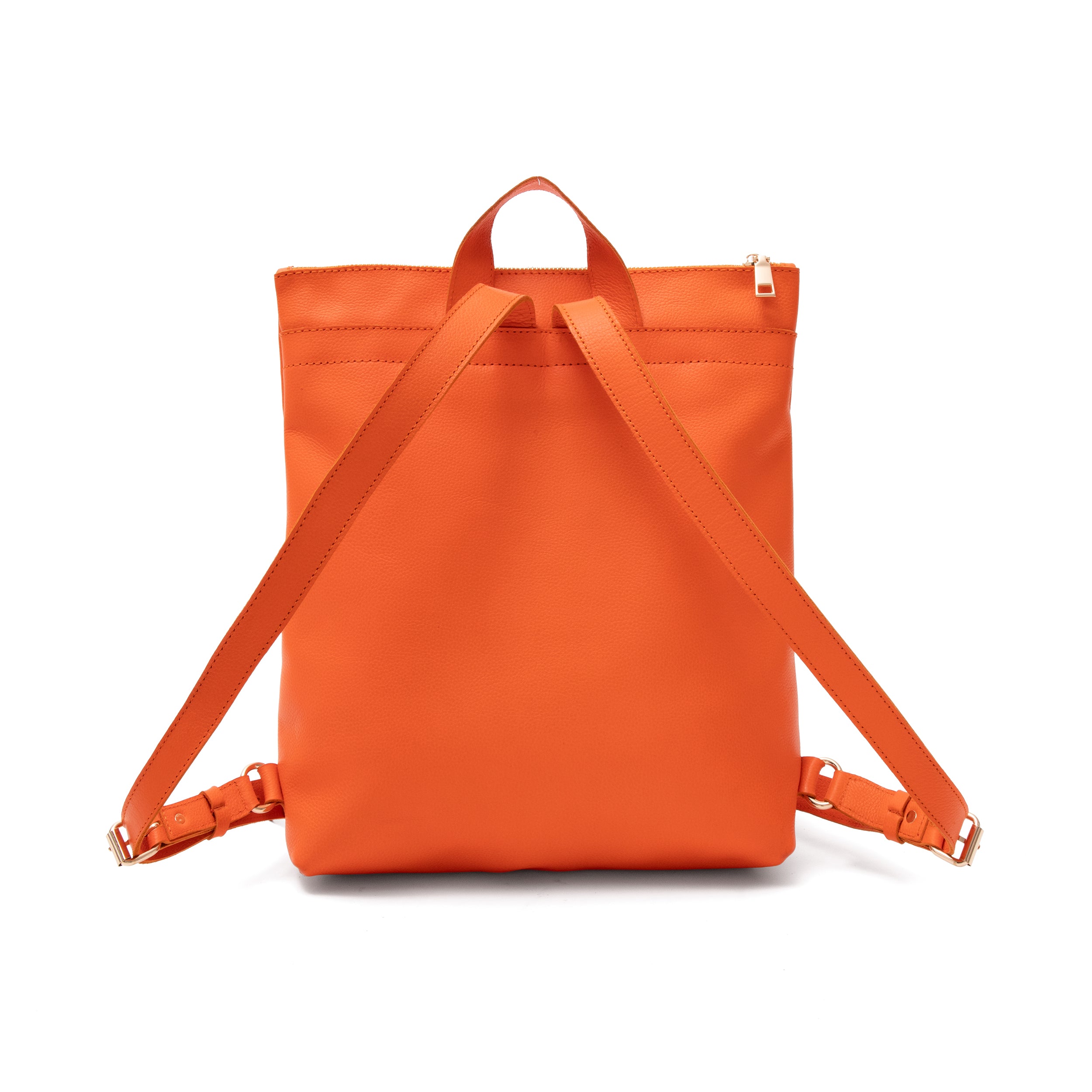 Potomac Backpack