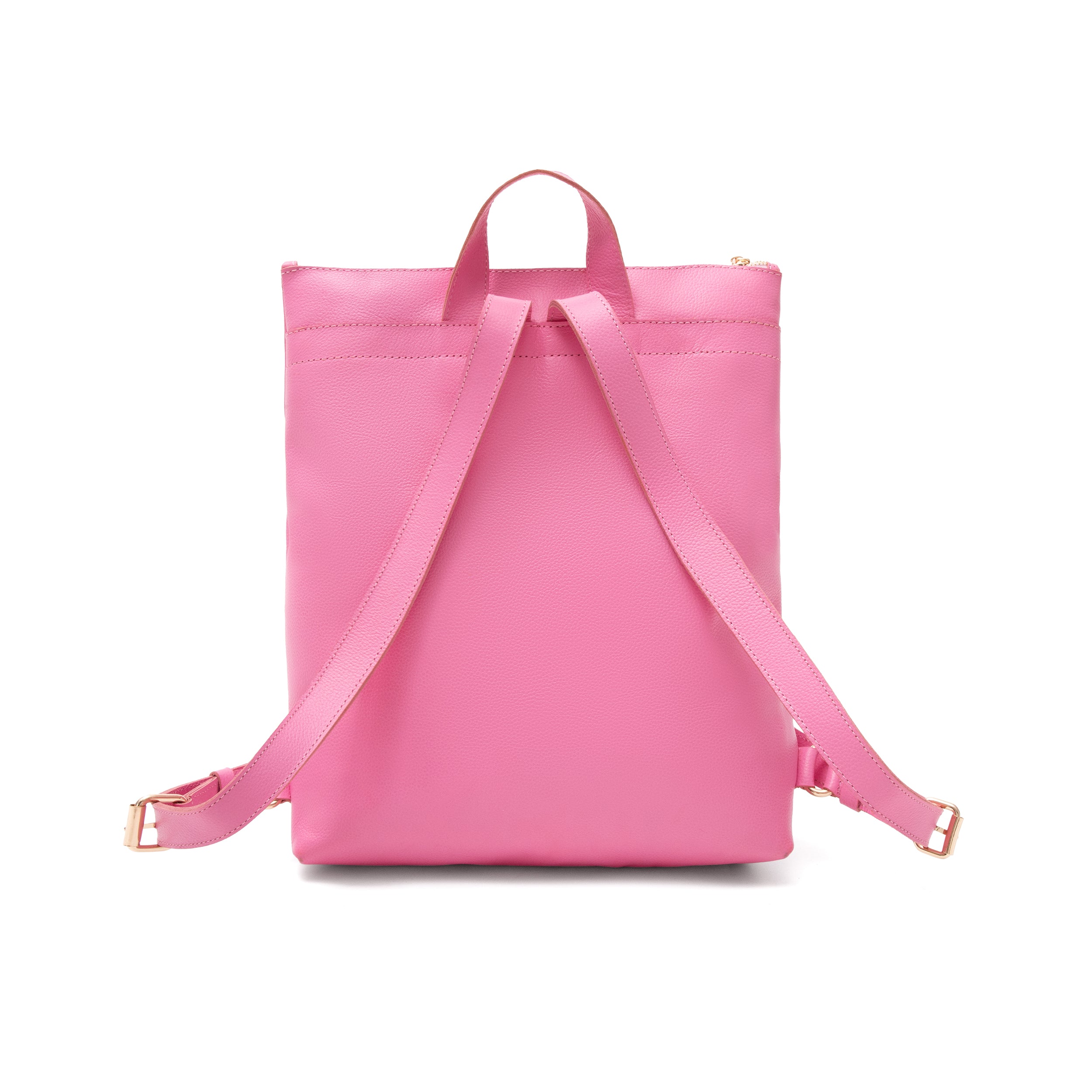 Potomac Backpack