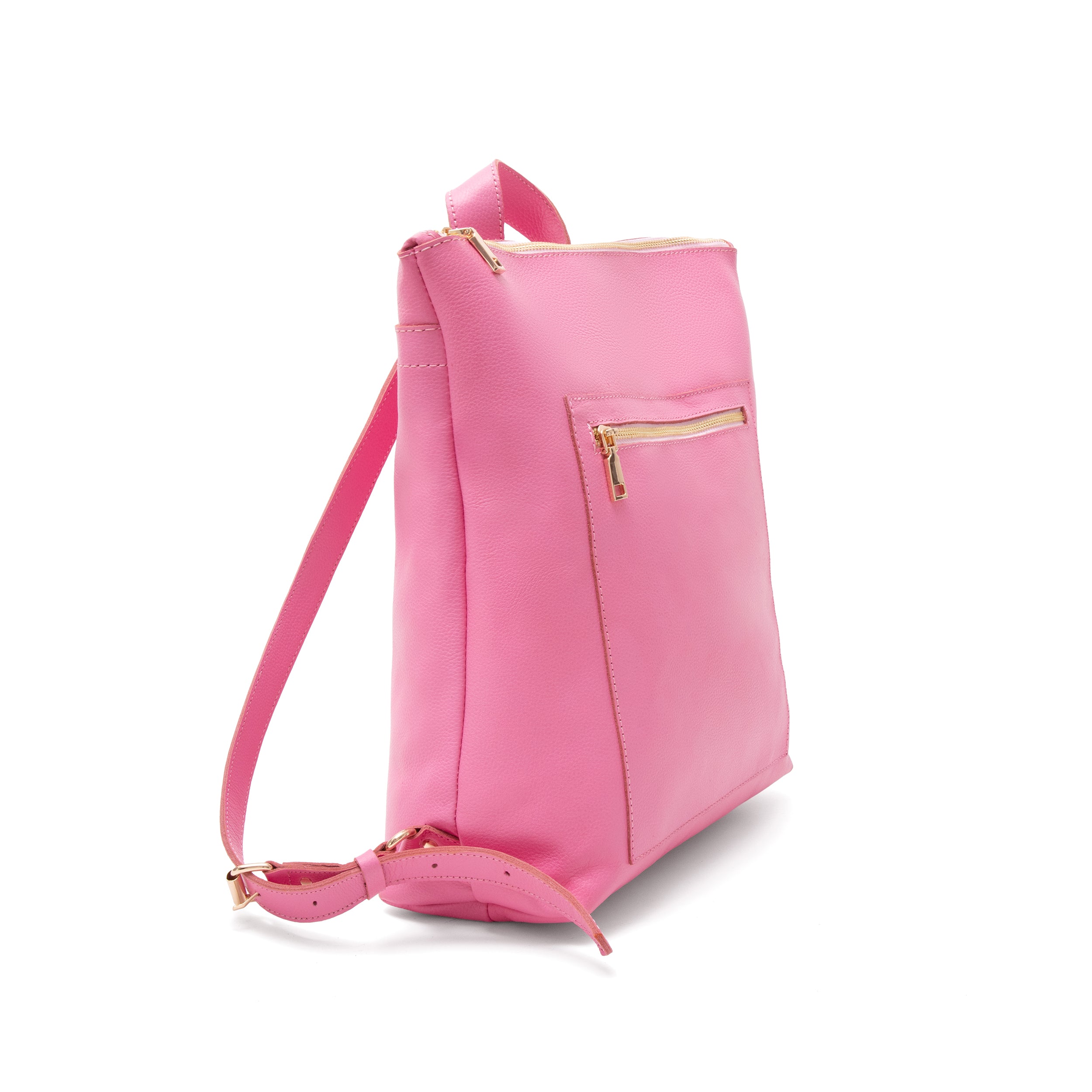 Potomac Backpack