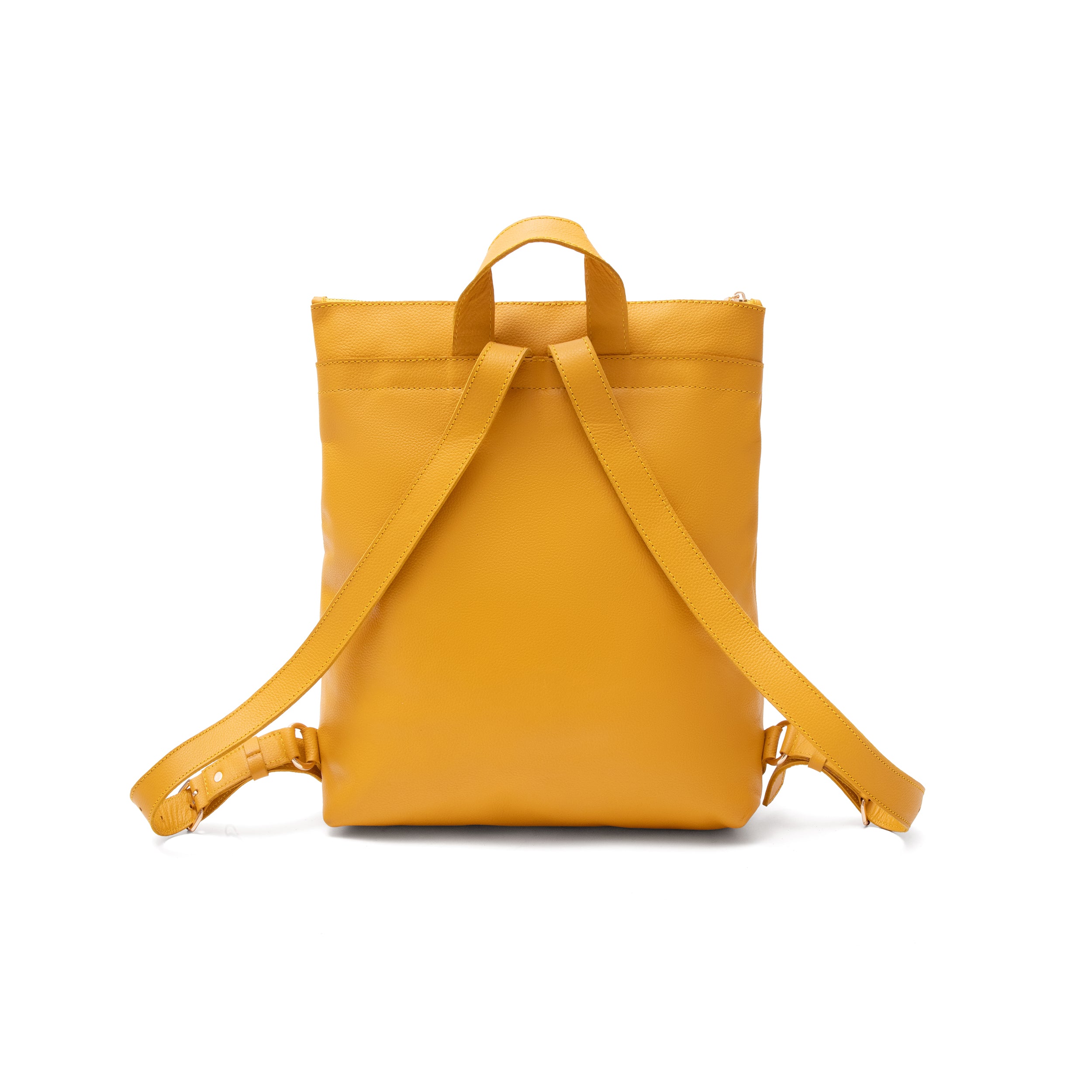 Potomac Backpack