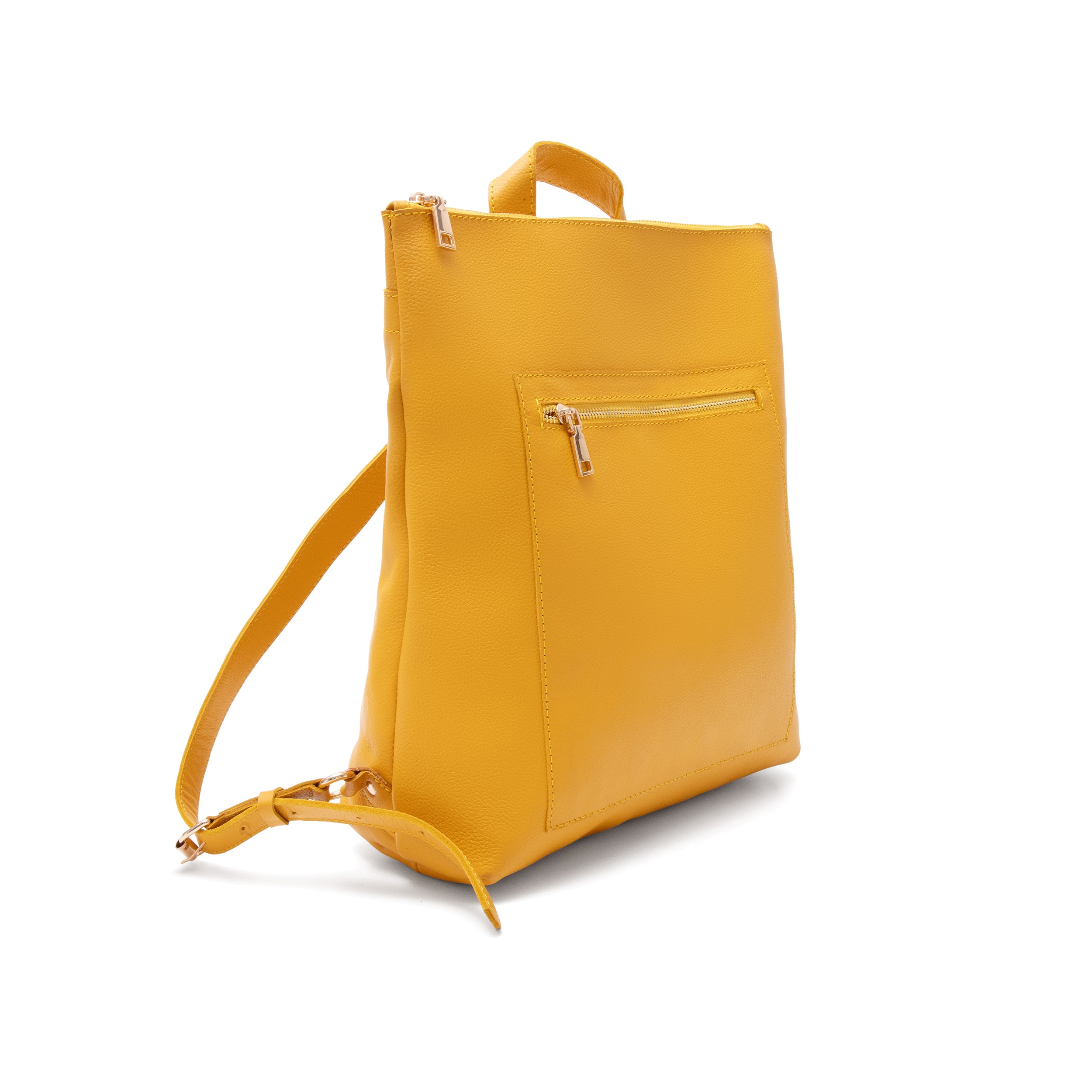 Potomac Backpack